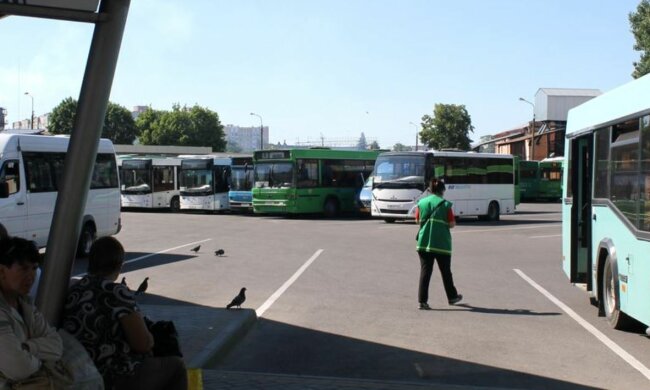 Автобуси, скріншот: YouTube