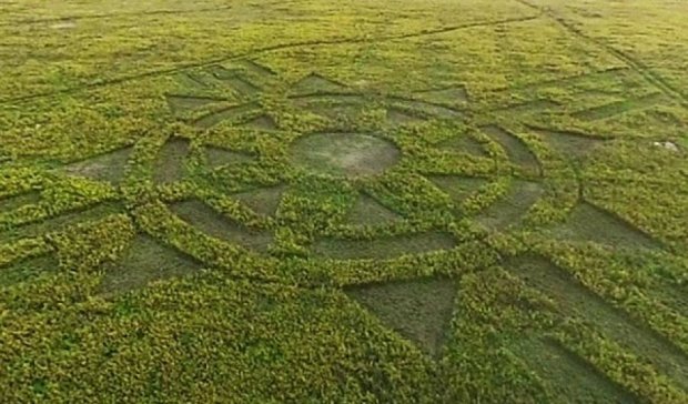 Вчені виявили загадкові круги на полях поблизу Амазонки