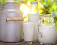 Скупщики покупают молоко у крестьян по 2,8 гривны