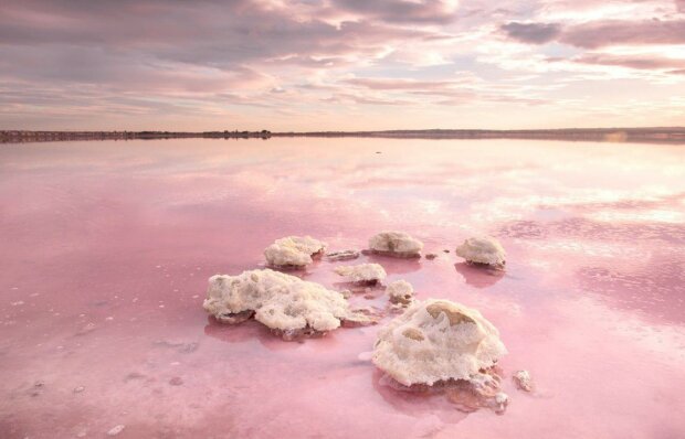 Розовое озеро, фото: Укринформ