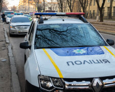 У Вінниці витівка п'яного шумахера пробила дно, копи чухають потилиці: "Не їхав, а стояв удома"