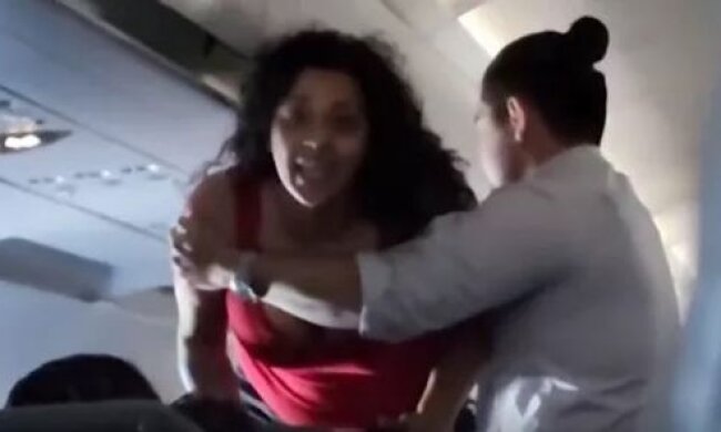 Драка в самолете, кадр из видео