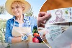 Грошова допомога українкам на ведення господарства