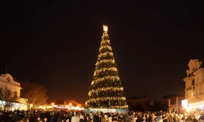 Різдвяна ялинка в Ужгороді у 2025 році