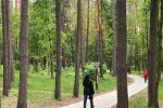 Киев, фото: Знай.ua