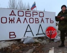 "Как мышь бегемота изображала": в сети описали реалии "русского мира"
