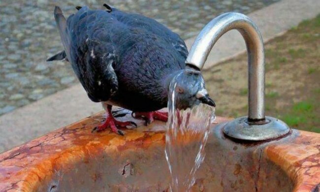 Погода готує "пекельний" сюрприз