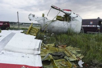 Нідерланди 10 серпня назвуть причину падіння Боїнга-777 