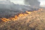 Горит сухостой, скриншот из видео