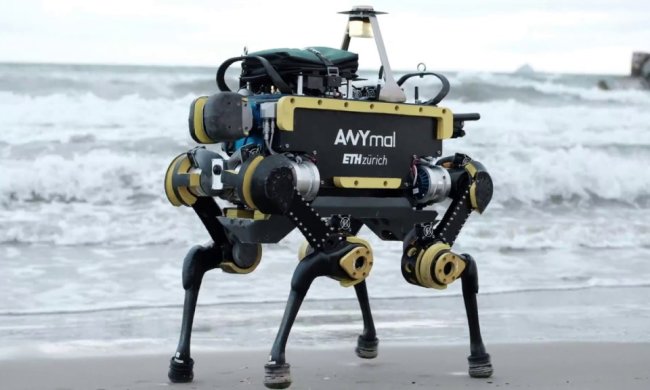 Ученые представили четвероного робота-очаровашку, который займется грязной работой: видео
