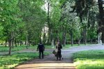 На Одещині схопили озброєного до зубів злочинця, до трагедії лишався один крок: копи оторопіли від "колекції"