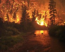Світ у вогні: планеті напророкували швидкий апокаліпсис