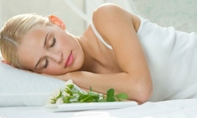 Здоровий сон стимулюють кімнатні рослини