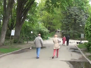 Весняна погода. Фото: скрін youtube