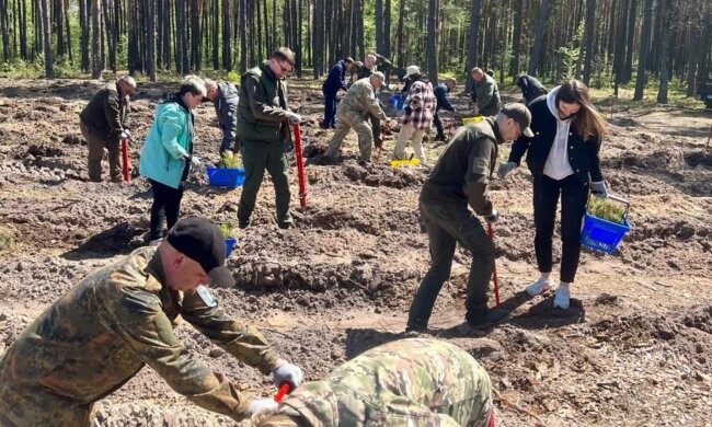 Колектив Держекоінспекції Поліського округу долучився до посадки лісу