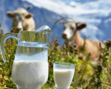 Домашнее молоко станет элитным продуктом