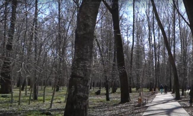 Весняна погода, скріншот: YouTube