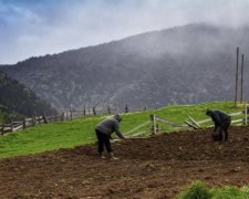 Стало известно, что украинцы думают о земельной реформе