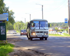 Під Запоріжжям "спляча красуня" вмостилася на підлозі маршрутки: водій виносив на руках