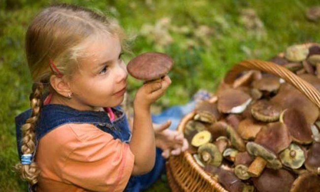 Дев`ятирічна дитина померла від отруєння грибами в Херсоні