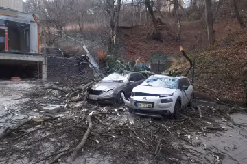 Шторм наробив біди у Львові, дві автівки поховало під деревами - передки вщент