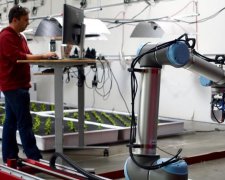 Роботы возьмут дачные хлопоты на себя