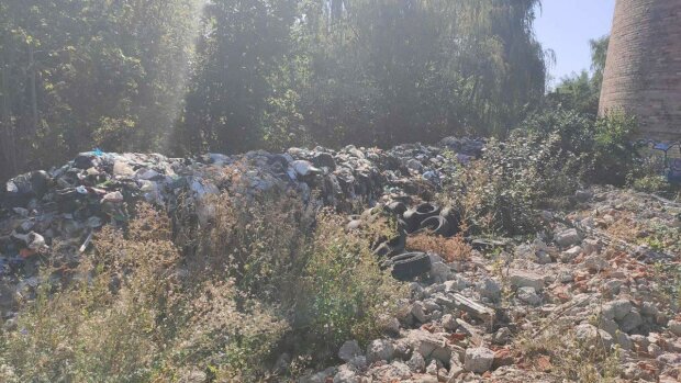 Львовский мусор Садового вывалили на Черниговщине - привезли ночью фурой