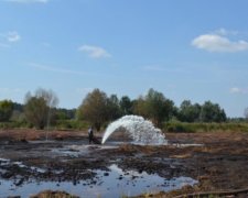 В Киевской области горит более 30 гектаров торфяников (фото, видео)