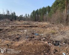 стихійне звалище \ фото Держекоінспекції Поліського округу