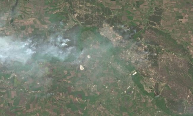 окупанти знищили понад 17 тисяч гектарів лісу на Луганщині