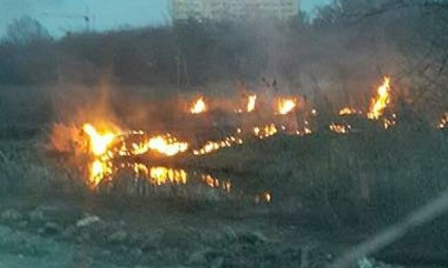 В Ірпіні шашлики на 8 березня закінчились підпалом торфяників