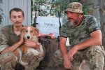 Пес "Рижик" рятує бійців АТО від обстрілу під Маріуполем (фото)