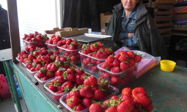 квітнева полуниця