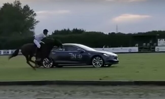 Tesla в гонке с лошадью, скриншот из видео