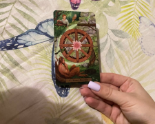 Карта "Колесо Фортуни", фото: Знай.ua