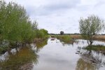 Дома прикарпатцев застыли на краю "океана", пугающие кадры