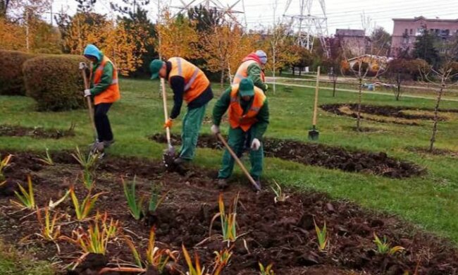 У Запоріжжі з'являться нові квіти, фото: КП Зеленбуд