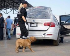 "Евробляхи" не дают покоя чинушам: власть выдумала новые расценки