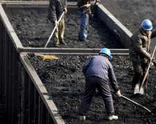 Роттердам+: правда, о которой стараются не говорить