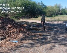 Держекоінспекція