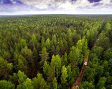 Екологи знають, як врятувати людство від кінця світу: допомогти може кожен