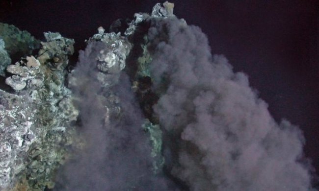 Вчені створили "портрет" предка всіх живих істот