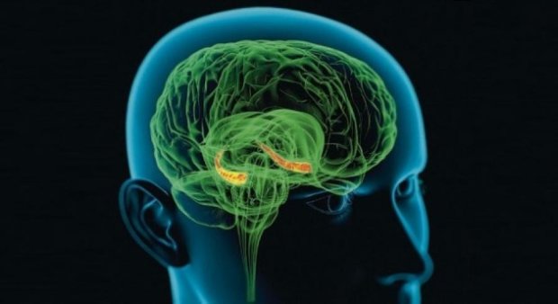 Ученые изучили реакцию мозга на телепортацию