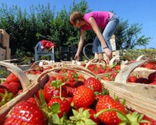 Разительный контраст: украинец рассказал о жизни в Польше