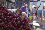 Черешня. Фото: скрин youtube