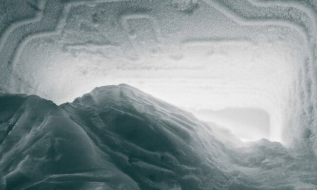 Американка купила труп на гаражной распродаже