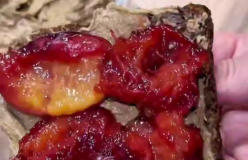 Паштет со сливами, кадр из видео