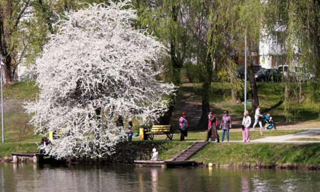 Парк, прогулка, украинцы, фото из соцсетей