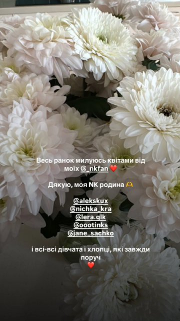 Stories Насті Каменських, скріншот: Instagram