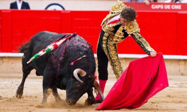 Ученые поняли, как животные воспринимают цвета